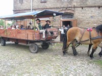 Bild 24 Bild 24
